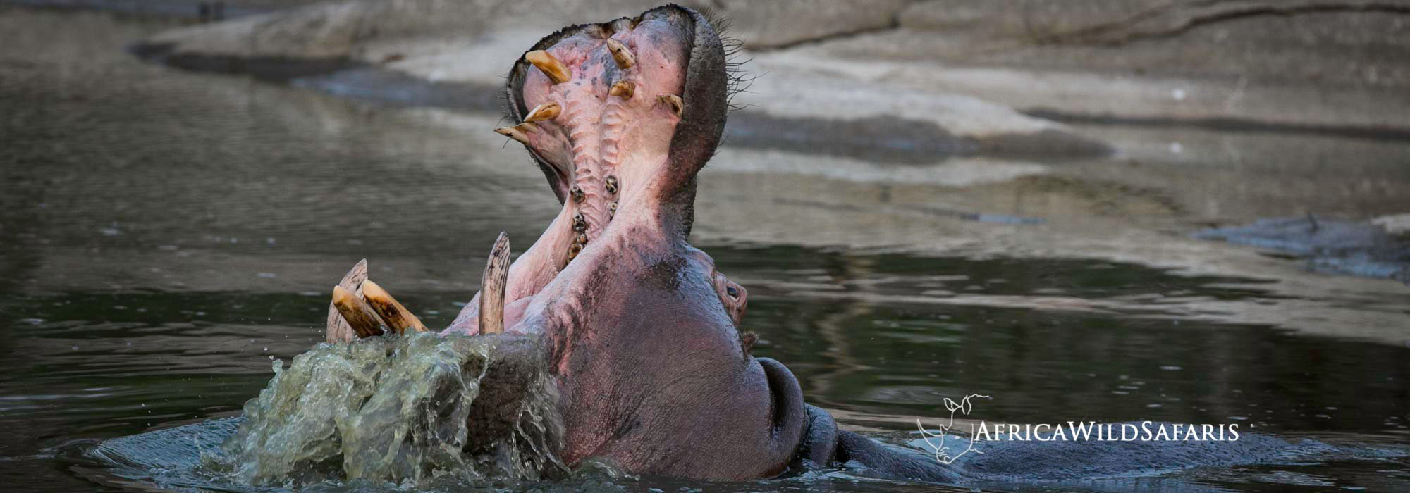 Photography workshop in South Africa